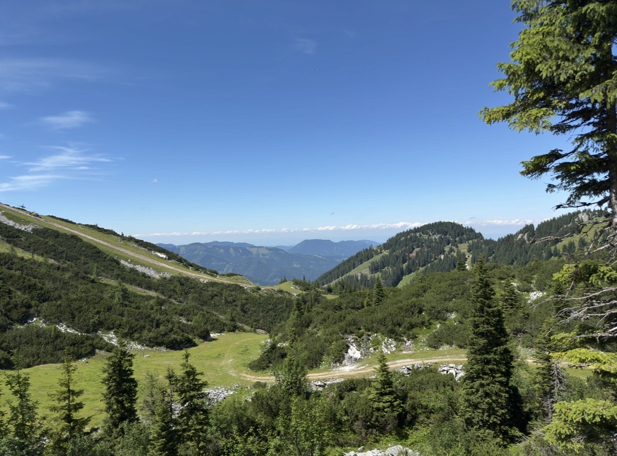 IMG_2039%20%281%29